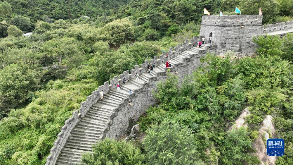 真人网络堵场